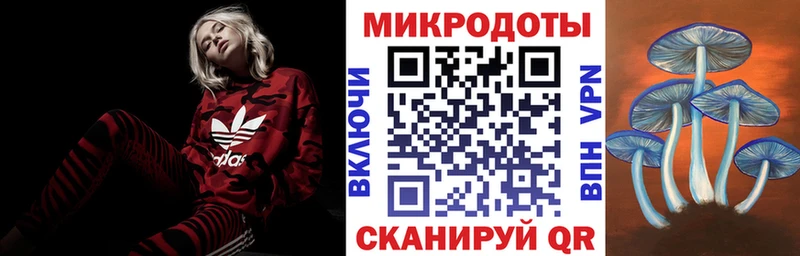 цены   Рославль  блэк спрут как войти  Псилоцибиновые грибы GOLDEN TEACHER 