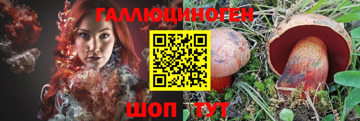 Псилоцибиновые грибы мухоморы  где продают   Рославль 