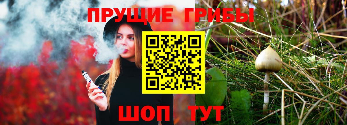 Рославль  Псилоцибиновые грибы Magic Shrooms  Вход с VPN 